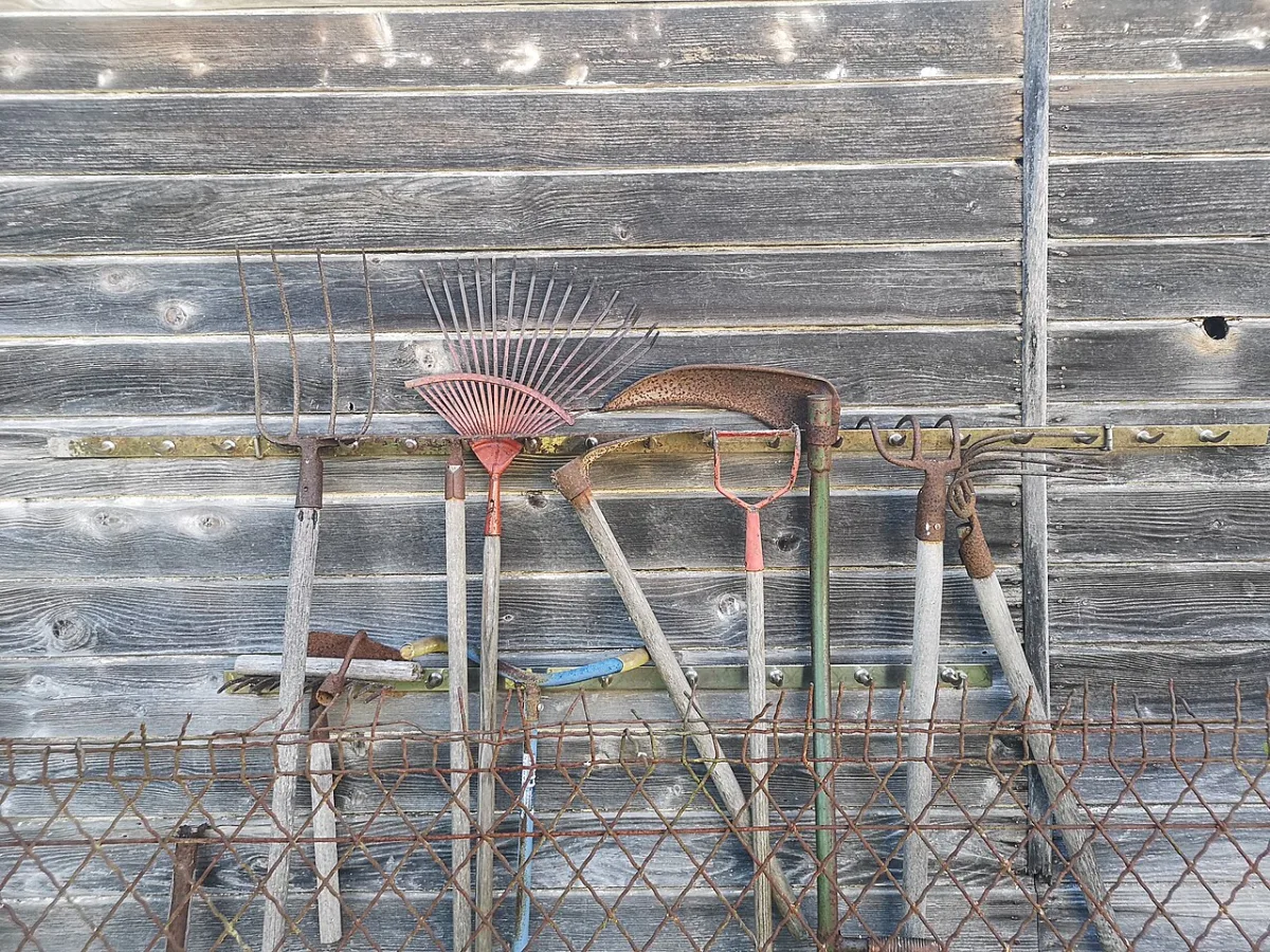 Diverse tuingereedschappen zoals hark, riek en snoeischaar hangen aan een houten schuurwand
