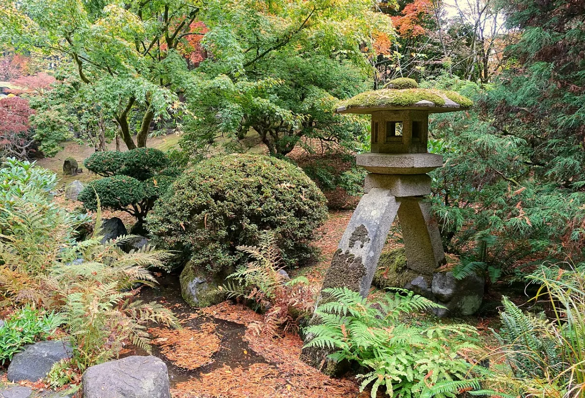 Stenen Japanse tuinlantaarn met mos op het dak, omringd door varens en herfstbladeren