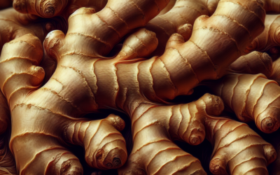 Gember: De Verborgen Schat voor Jouw Gezondheid